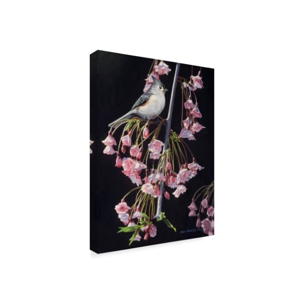 Ron Parker 'Titmouse And Blossoms' Canvas Art,35x47